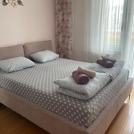 Apartment Elefant 021 노비사드 외부 사진