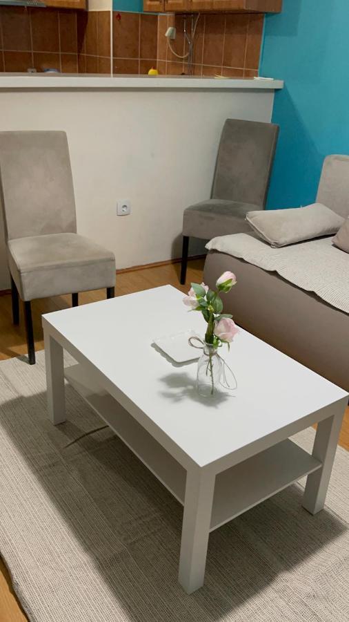 Apartment Elefant 021 노비사드 외부 사진
